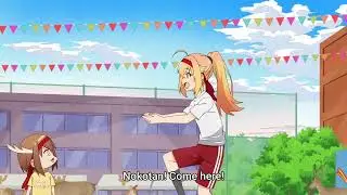 Nokotan! I've got something nice waiting for you