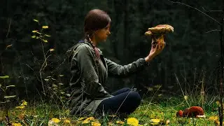 Mushroom hunting. How to forage and cook wild mushrooms. Canning mushrooms recipe.