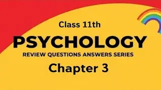 Human Development - Review Question Answers/NCERT SOLUTION Class 11th Psychology Chapter 03 