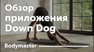 Упражнения йоги для спины c Down Dog. Обзор приложения.