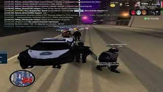 Рейд патрулей