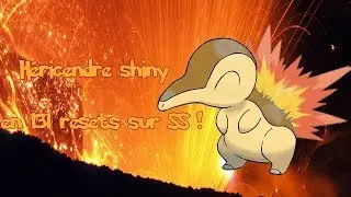 hericendre/Cyndaquil shiny apr&egrave;s 131 Resets !