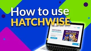 How To Use Hatchwise 🚀