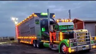 Rocky Mountain bull hauler. Fall run 2019