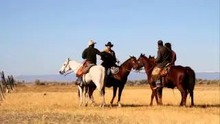 Moving Buffalo at Zapata Ranch - Top50 Ranches