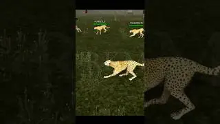 Cheetah Simulator - Go Wild With The Animals! #cheetah #rkmgaming #animals
