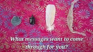 🪲 What messages want to come through for you? 🪲 Timeless Intuitive Reading #pickacard #psychic