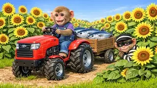 Monkey Farmer Drives Tractor to Harvest Fish and Catches a Sneaky Thief! - Monkey Farm Work