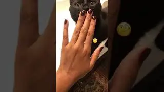 🍷What does my nail polish match? | NCLA Beauty Eat Pie, Drink Wine Nail Polish #shorts