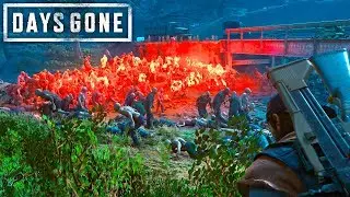 STEALTH HORDE KILLS... Days Gone Free Roam!