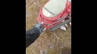 Fish I caught and some interesting midge emergers
