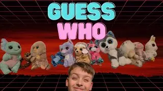 BLINDFOLD GUESS WHO - BEANIE BOO EDITION