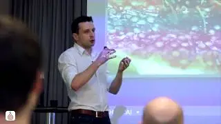 A Path to Artificial Intelligence