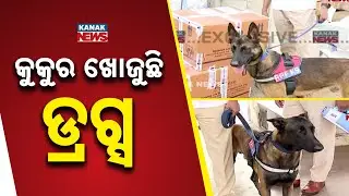 Operation Sniper! RPF Dog Squad Raid at Bhubaneswar Station | Drugs Search