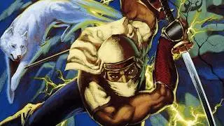 Shadow Dancer: The Secret of Shinobi (Genesis) No hit