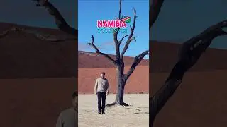 Epic Deadvlei at Sossusvlei in Namibia 🇳🇦