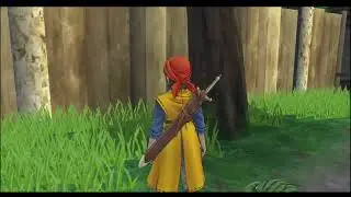 #06 QUIERO MI CARROMATO - DQVIII
