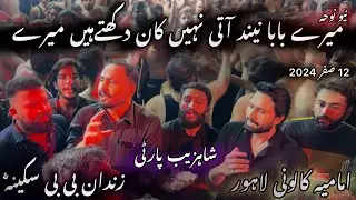 Mary baba Neend ati nhi kaan dukhte hai Mary | Shahzaib Hasan Party | Anjuman Hussainia Ammar Shah