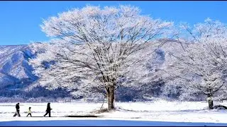 師走の青空に輝く白銀の北アルプスと浅間山･4K