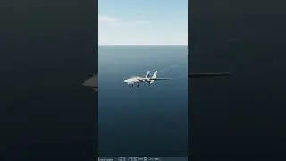 F14 Tomcat Carrier Landing DCS World #dcsworld #dcs #dcsworldvideos #f14 #f14tomcat #topgun #goose