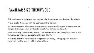 Size Perception