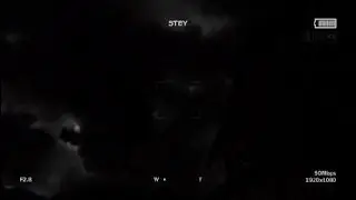 The New Apocalypse (Outlast 2) Glitch?