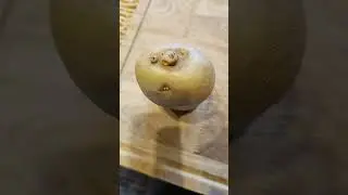 Seeing Faces in Everyday Objects - Part 26 #pareidolia #shortvideo #illusion