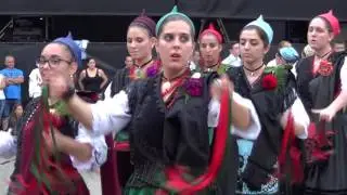 Pericote (tarde) - Santiago 2016