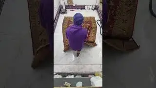 Large hand knotted rug cleaning fast version
