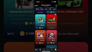 Hamster Combo Card 29.07.24 #combocard #hamsterkombat #hamstercombo #nft #binance #okx #crypto #eth