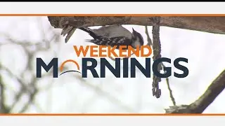 Weekend Mornings: February 14, 2026