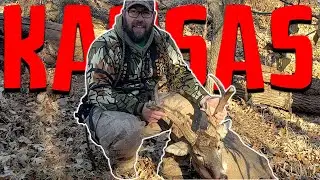 Пометить странного канзасского оленя в странном месте