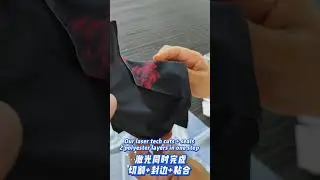 How CO₂ Vision Laser Cutter Seals Polyester Fabric Edges  Without Sewing 丨 Industrial Fabrics