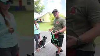 How to use the leash for corrections Part 1 DIYK9.COM #bite #dog doggo#doglovers #dogoftheday #dogs