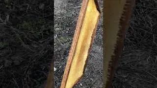 Weight of frames and inventory. Weight of an empty frame with unfinished honeycomb