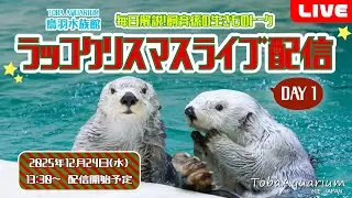 《鳥羽水族館》飼育係の生きものトーク ラッコクリスマスライブ配信【DAY1】