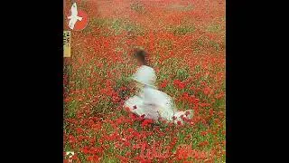 Cecil Wary & Alan Feanch – Wild Flower