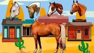 WRONG HEADS KUDA DELMAN Horse당신이 위대하다면 말이 맞다는 것을 증명합시다