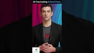 #10 Fascination Animal Facts