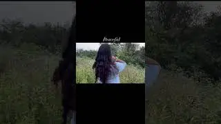 Peaceful#travel #peaceful #shorts #shortvideo #shortsvideo #reels #reel #random #travelvlog