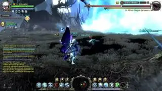 Dragon Nest Sea: Lvl 80 SDN (Dragon fellowship)