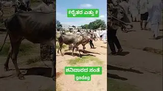 @#gadag#bulls#market#4/10/25