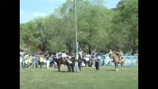 Jineteadas en Alejandro Roca