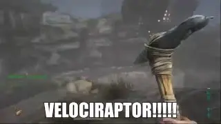 Ark stream highlight