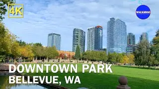 After Rain in Seattle 🌤   Clear Sky  - Bellevue Downtown Park | Washington | 4K