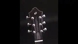 Galloup G 9ce Archtop by Guitar Gallery