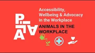 Animals in the workplace (Extract) &ndash; August &ndash; Accessibility, Wellbeing & Advocacy in the Workplace