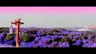 LAXITY || [IRL EDIT]