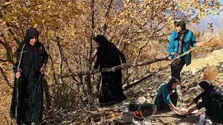 Iran nomadic life:The hard work of nomadic women to collect wood in the mountains🏞🙎&zwj;♀️
