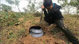 Horrified by the discovery of a strange venomous snake while tending livestock.